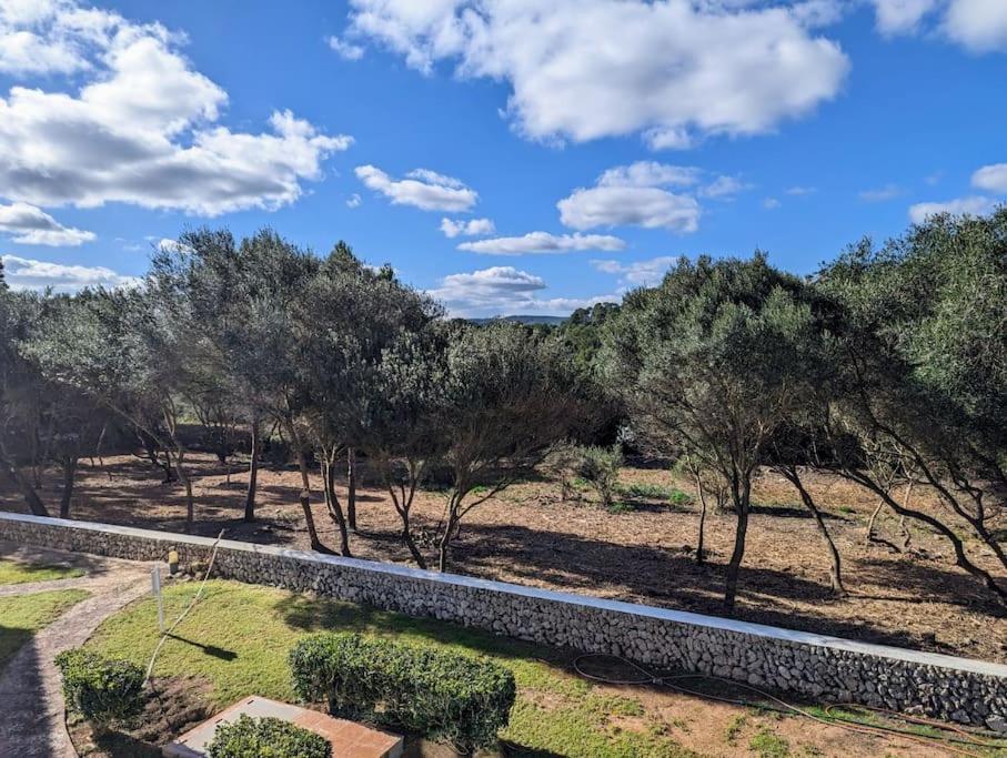 Apartamento Bella Brisa, Port D'Addaia Exterior foto